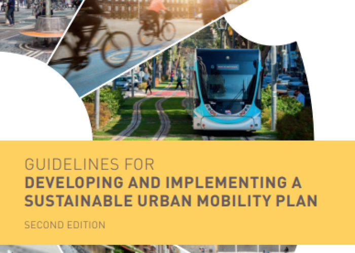 The first and last mile - the key to sustainable urban transport — European  Environment Agency