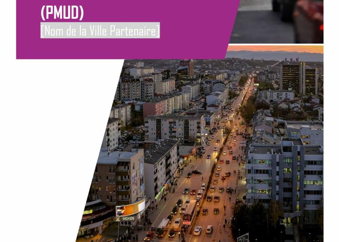 MYC_PMUD_Modèle_TdR_FR_Finale_Avril2020-1.jpg